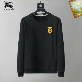 Picture of Burberry Sweatshirts _SKUBurberryM-3XL25tn8624854